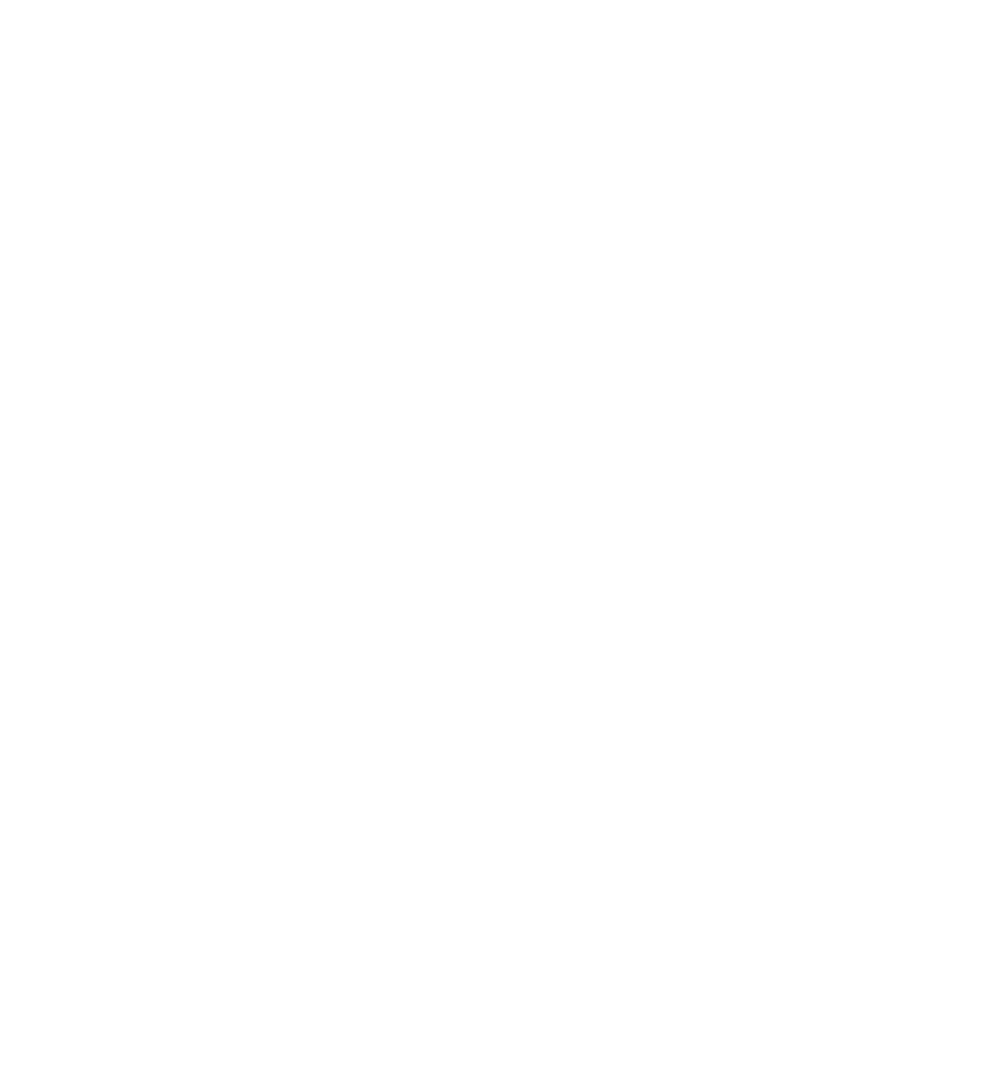 Partner logo 1