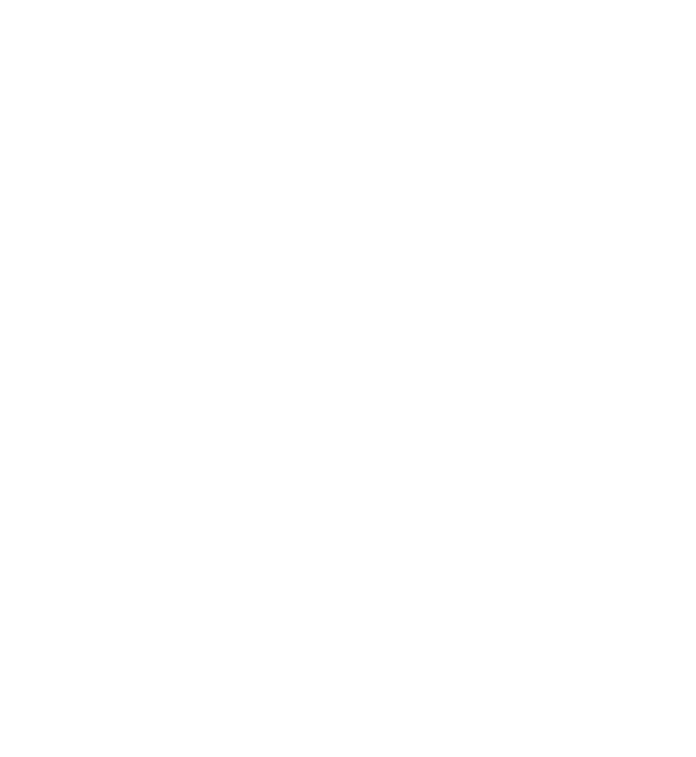 Partner logo 6