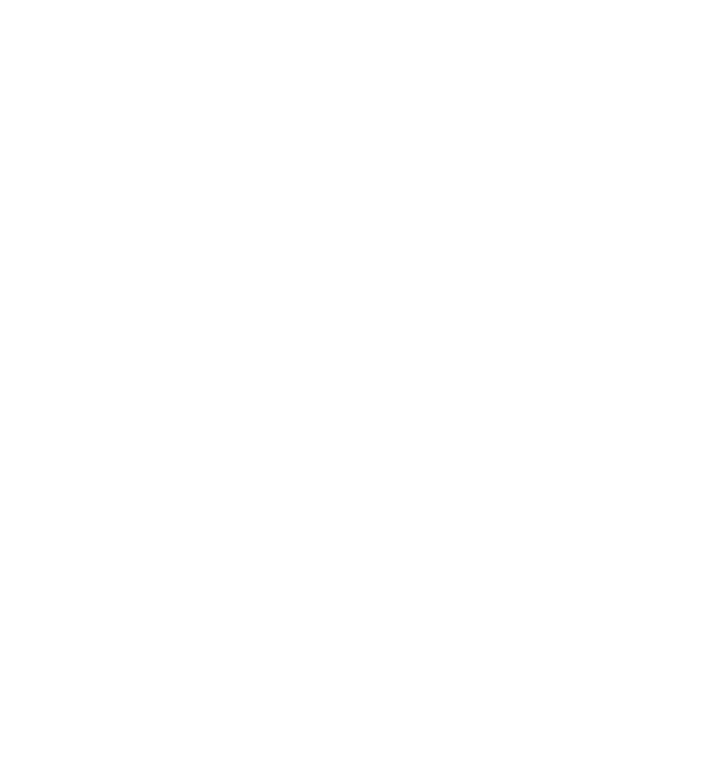 Partner logo 2