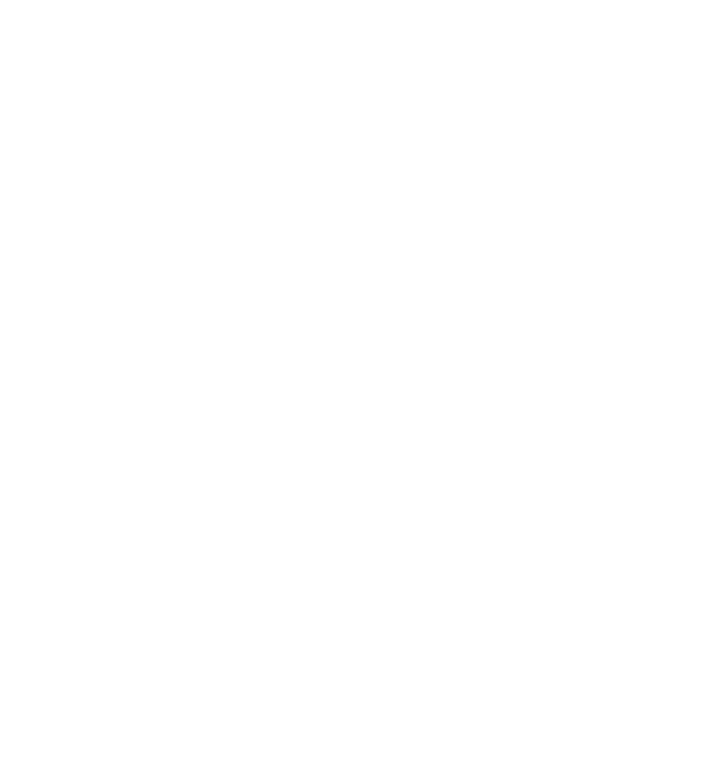 Partner logo 4