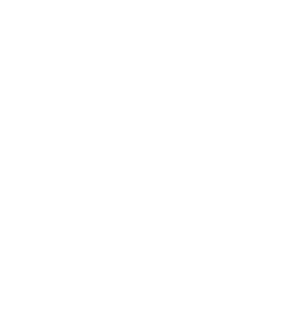 Partner logo 8
